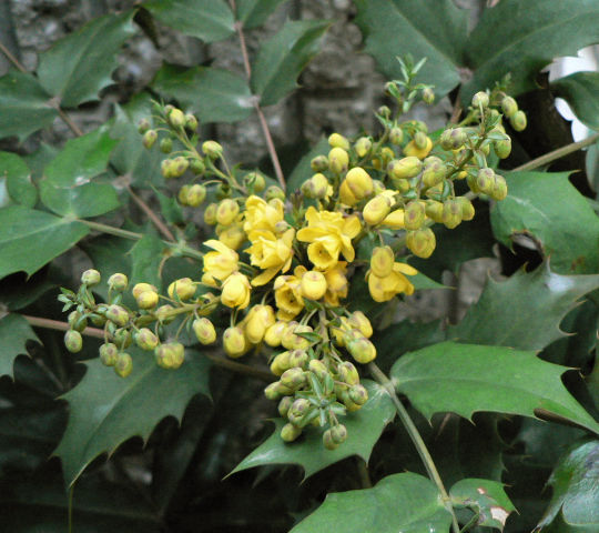 ファイル 413-1.jpg