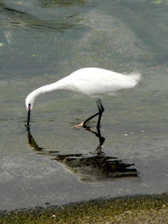 ファイル 470-3.jpeg