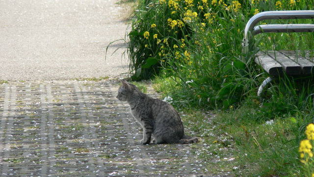 ファイル 471-2.jpg