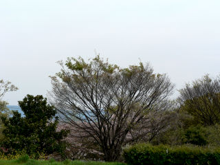 ファイル 472-1.jpg