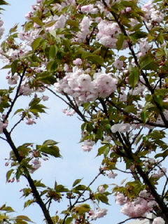 ファイル 472-2.jpg