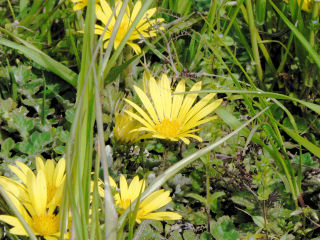 ファイル 472-3.jpg