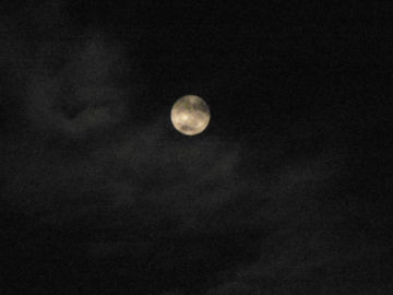 ファイル 747-1.jpg