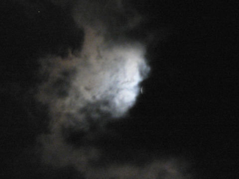 ファイル 749-2.jpg