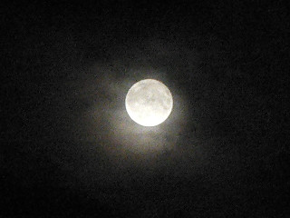 ファイル 765-2.jpg