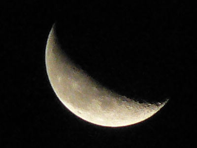 ファイル 774-1.jpg