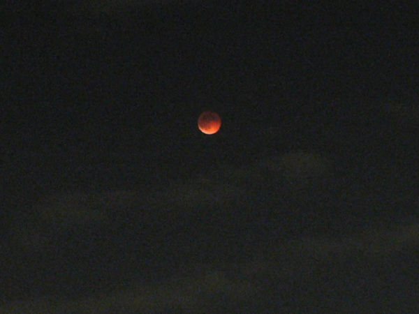 ファイル 784-1.jpg