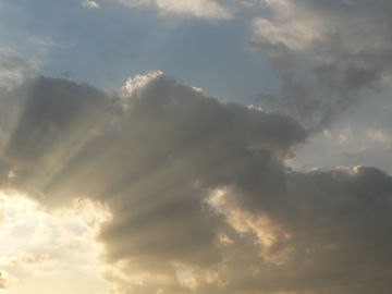 ファイル 830-1.jpg