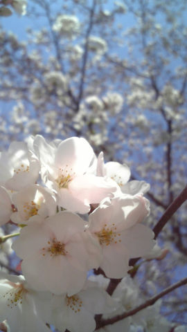 ファイル 836-1.jpg