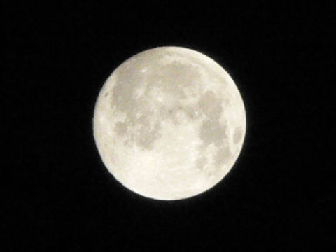 ファイル 925-1.jpg