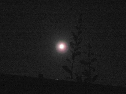 ファイル 925-2.jpg