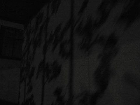 ファイル 925-4.jpg