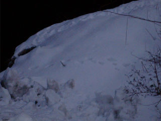 ファイル 937-2.jpg