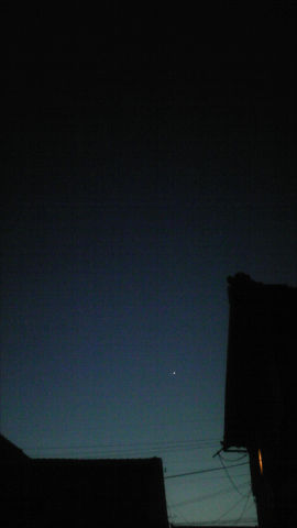 ファイル 938-1.jpg