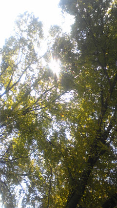 ファイル 943-1.jpg