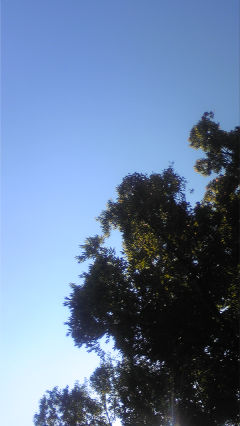 ファイル 944-1.jpg