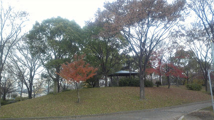 ファイル 947-1.jpg