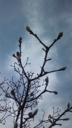 ファイル 947-2.jpg