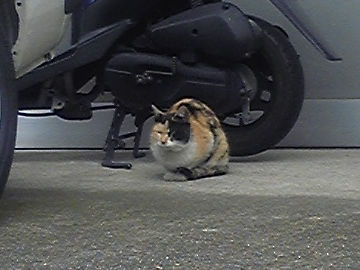 ファイル 950-1.jpg