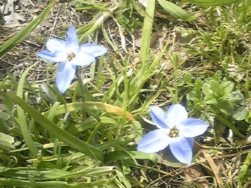 ファイル 955-3.jpg