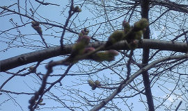 ファイル 955-4.jpg