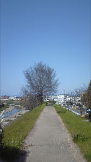 ファイル 957-1.jpg