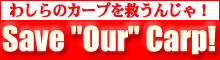 Save Our Carp